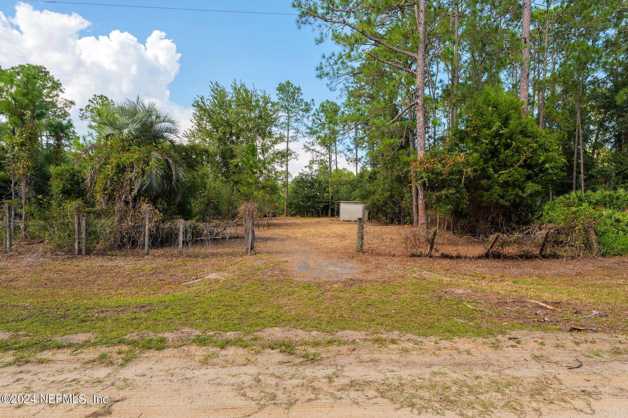 108 Howard Drive Interlachen, FL 32148 - Photo 8 of 18 a view of a yard with a tree