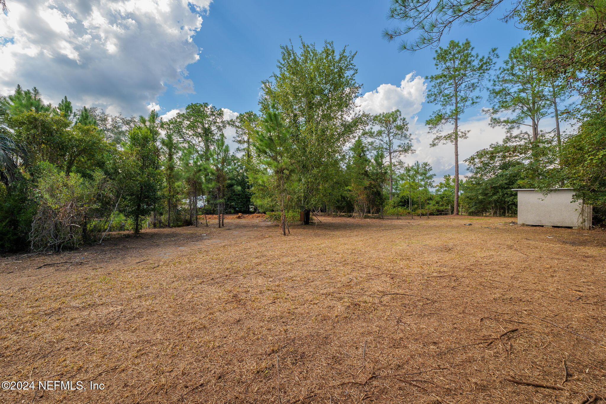 108 Howard Drive Interlachen, FL 32148 - Photo 9 of 18 a view of outdoor space with trees