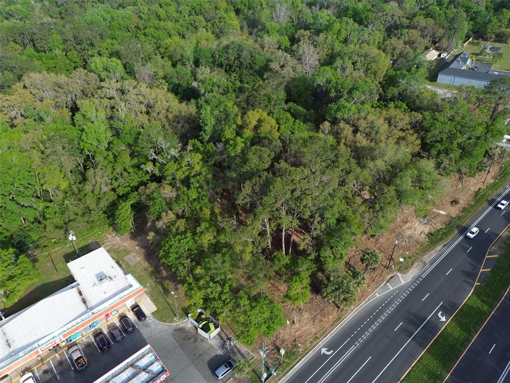 3926 Southwest 13th Street Gainesville, FL 32608 - Photo 6 of 12 a view of a garden with plants