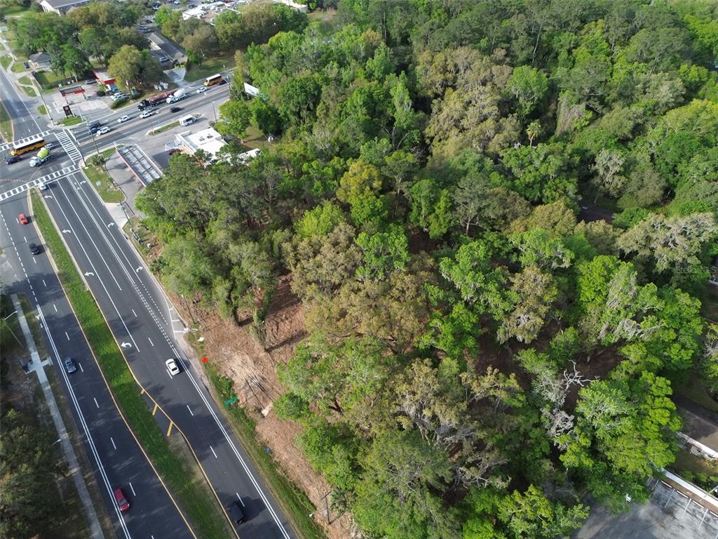 3926 Southwest 13th Street Gainesville, FL 32608 - Photo 8 of 12 a view of a forest