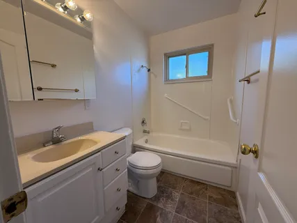 a bathroom with a sink a toilet and a bathtub
