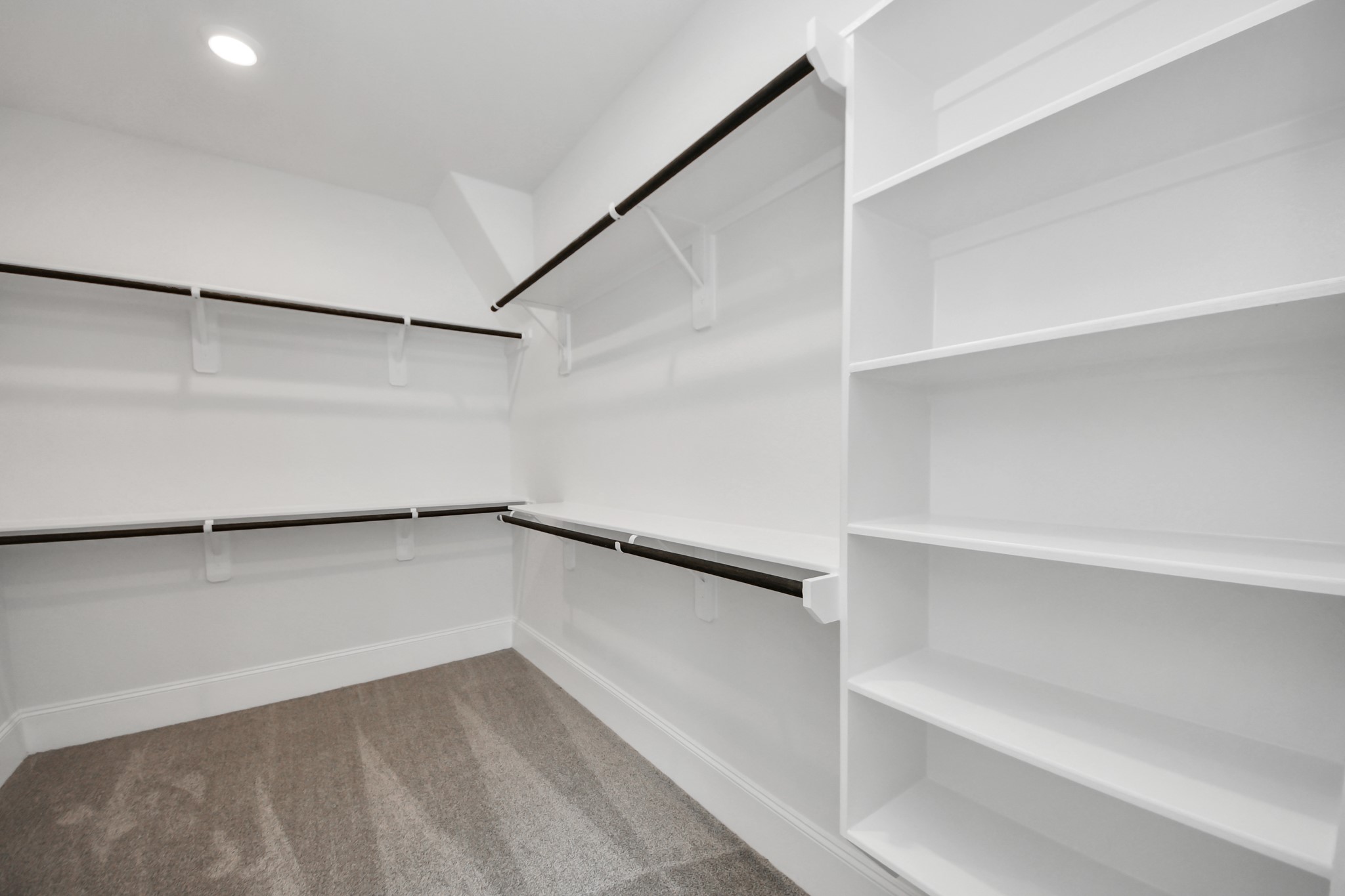 12010 Royal Oaks Banner Way Houston, TX 77082 - Photo 24 of 43 a view of walk in closet with empty racks
