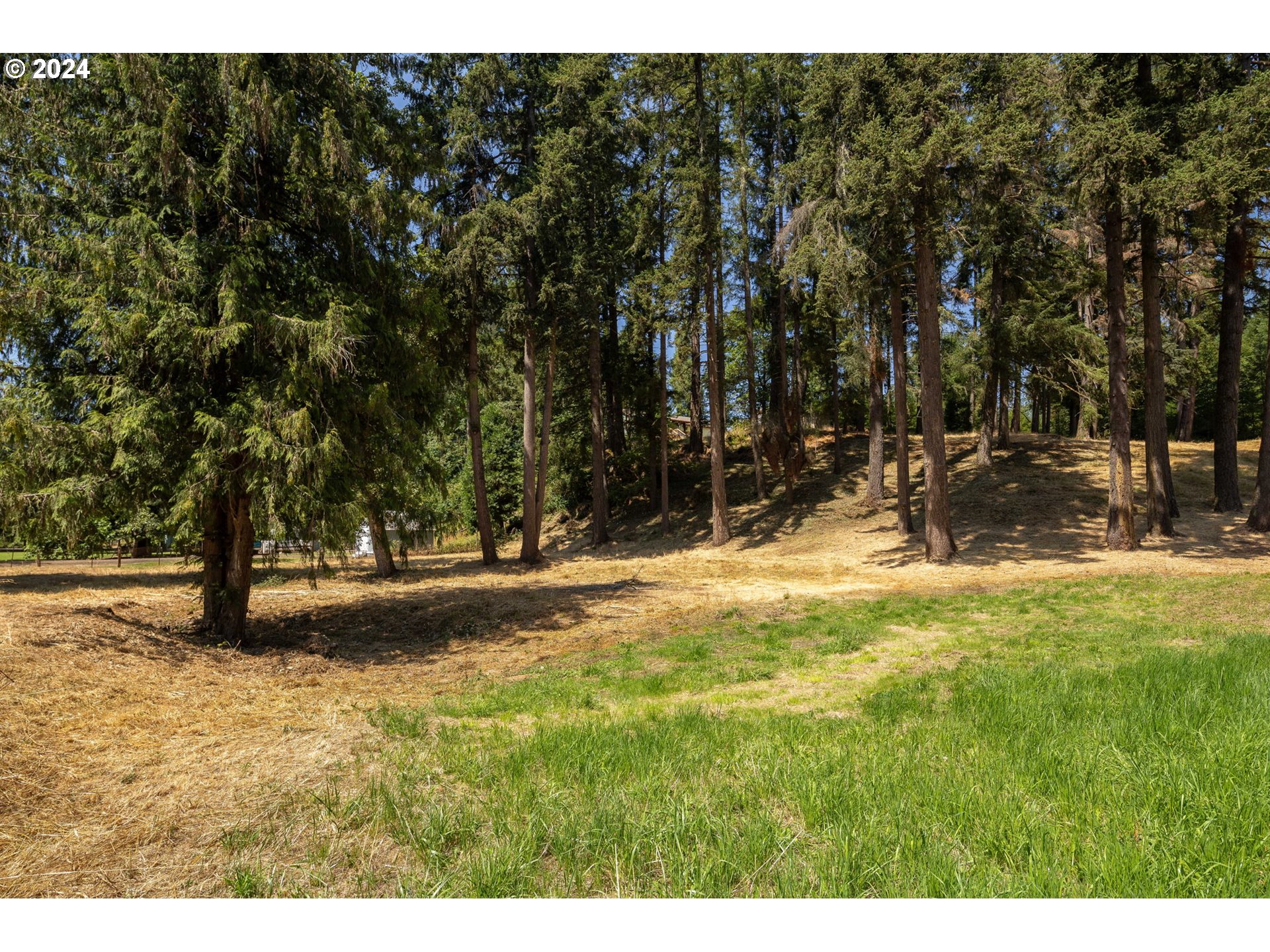 40043 Little Fall Creek Road Fall Creek, OR 97438 - Photo 36 of 48
