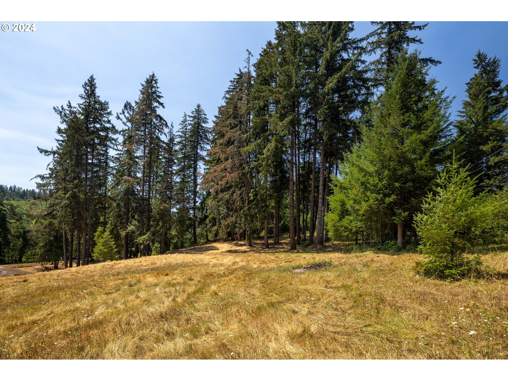 40043 Little Fall Creek Road Fall Creek, OR 97438 - Photo 40 of 48