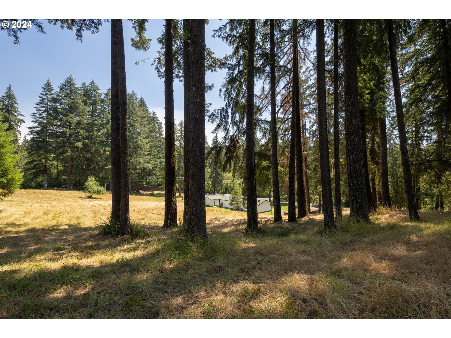 40043 Little Fall Creek Road Fall Creek, OR 97438 - Photo 41 of 48