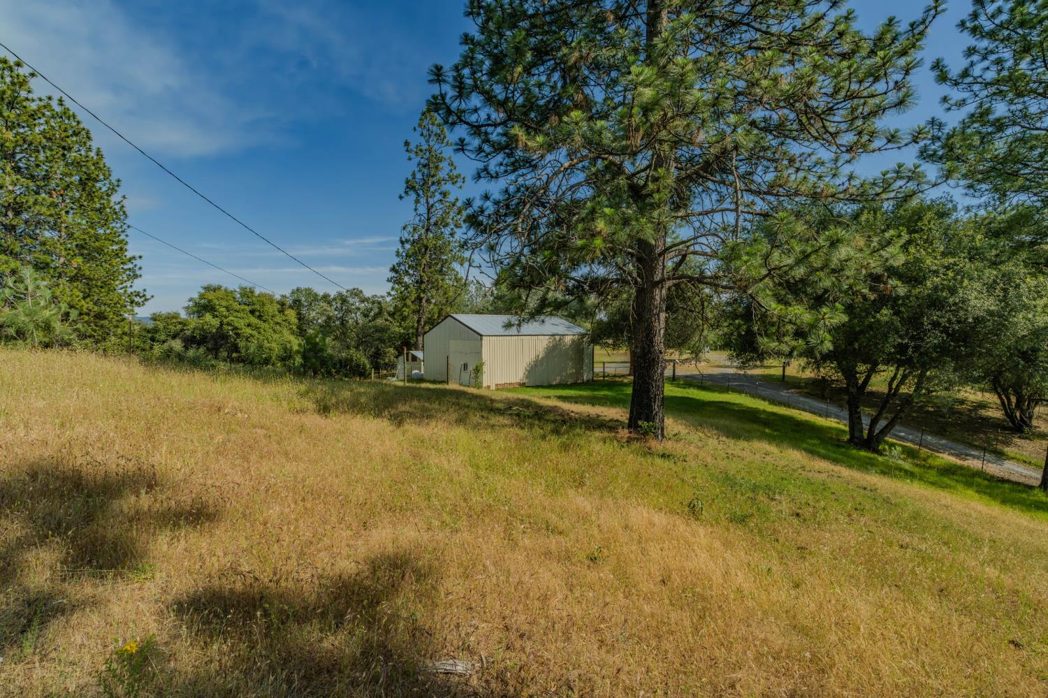 6216 Trout Lane Mountain Ranch, CA 95246 - Photo 11 of 39 a view of a yard with basketball court