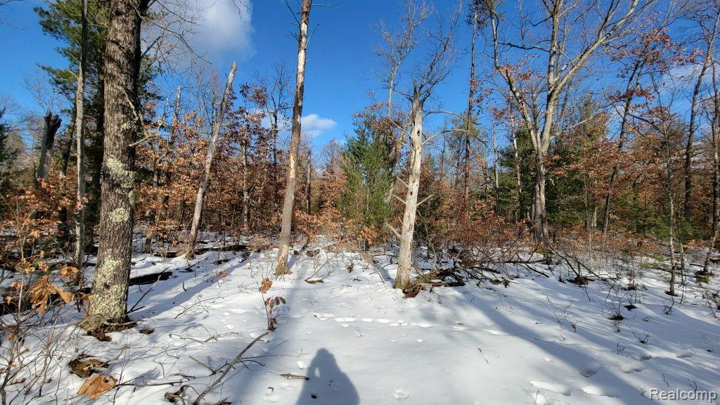 8879 9 Mile Bridge Road Manistee, MI 49660 - Photo 18 of 34
