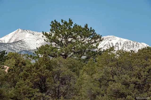 $645,000 | 15194 Heywood Lane, Nathrop, CO 81236