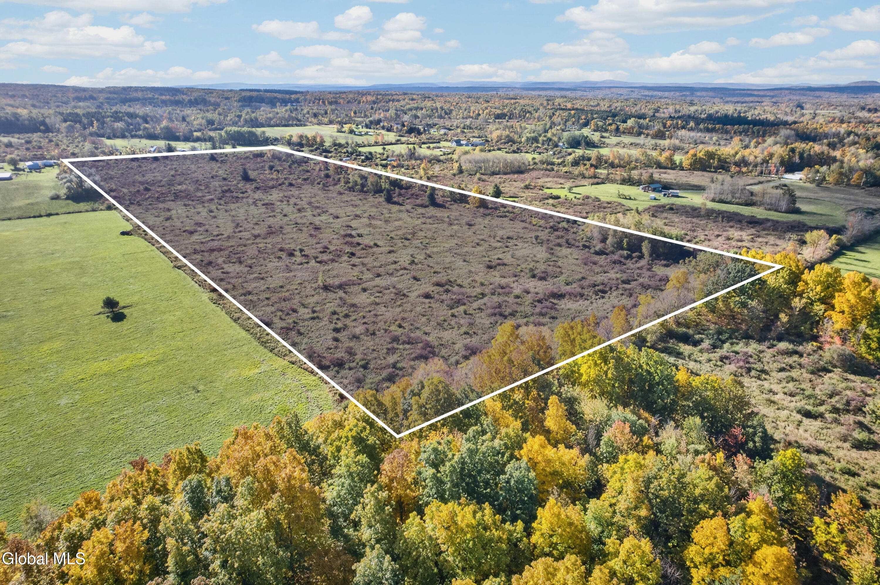 620 North Green Road Sprakers, NY 12166 - Photo 4 of 6 DJI_0986