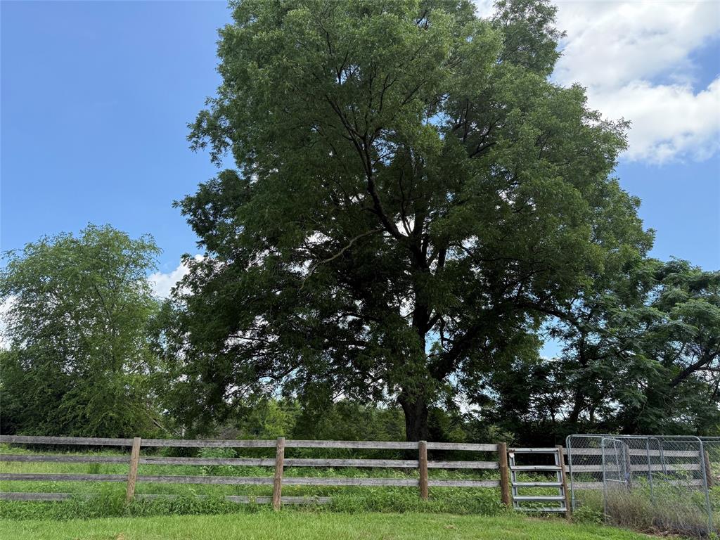 503 County Rd SE 4380 Scroggins, TX 75480 - Photo 27 of 40 a view of a park