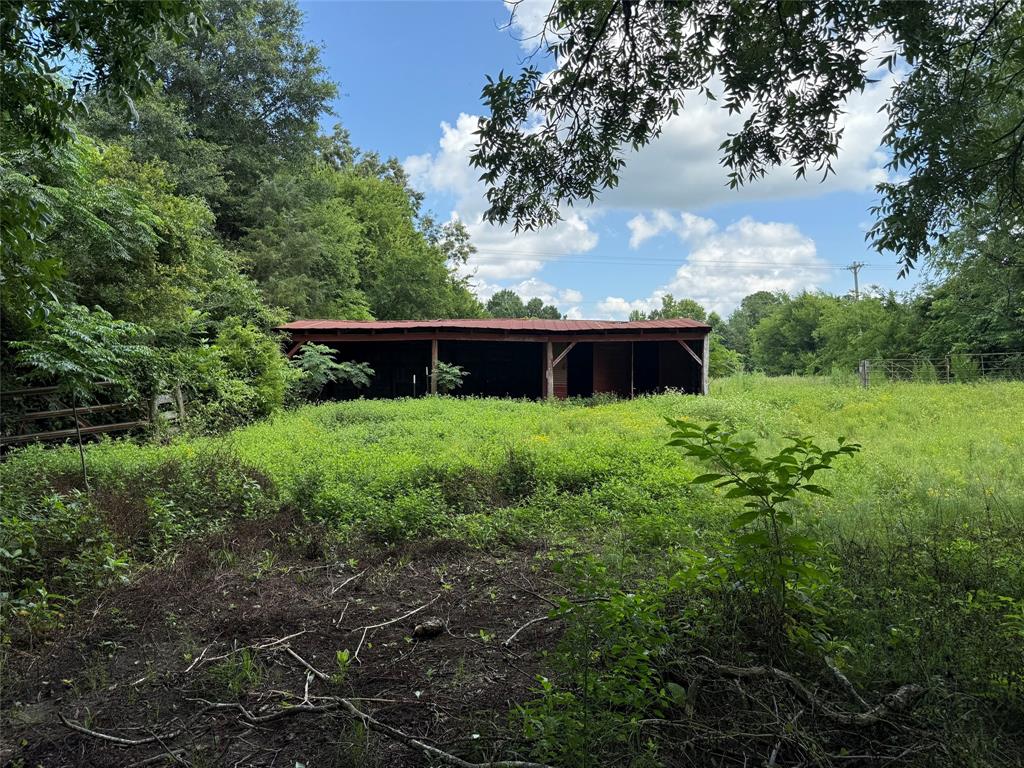 503 County Rd SE 4380 Scroggins, TX 75480 - Photo 28 of 40 a view of a back yard