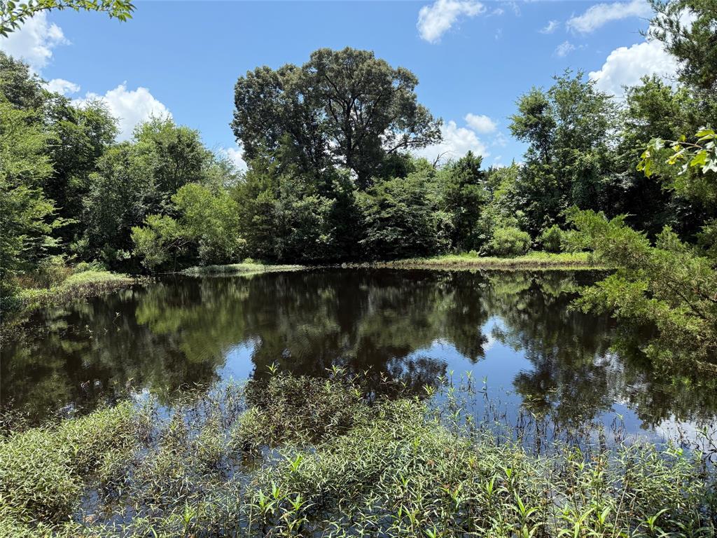 503 County Rd SE 4380 Scroggins, TX 75480 - Photo 29 of 40 a view of a lake with houses