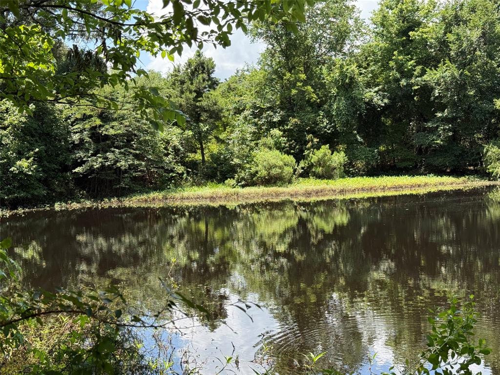 503 County Rd SE 4380 Scroggins, TX 75480 - Photo 30 of 40 a view of a lake view