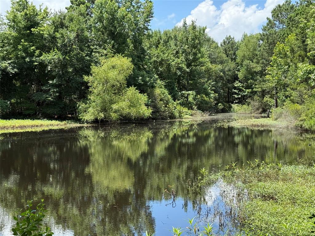 503 County Rd SE 4380 Scroggins, TX 75480 - Photo 31 of 40 a view of lake