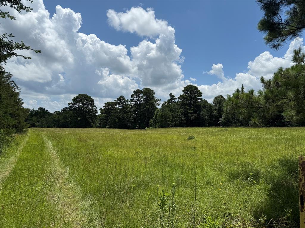 503 County Rd SE 4380 Scroggins, TX 75480 - Photo 33 of 40