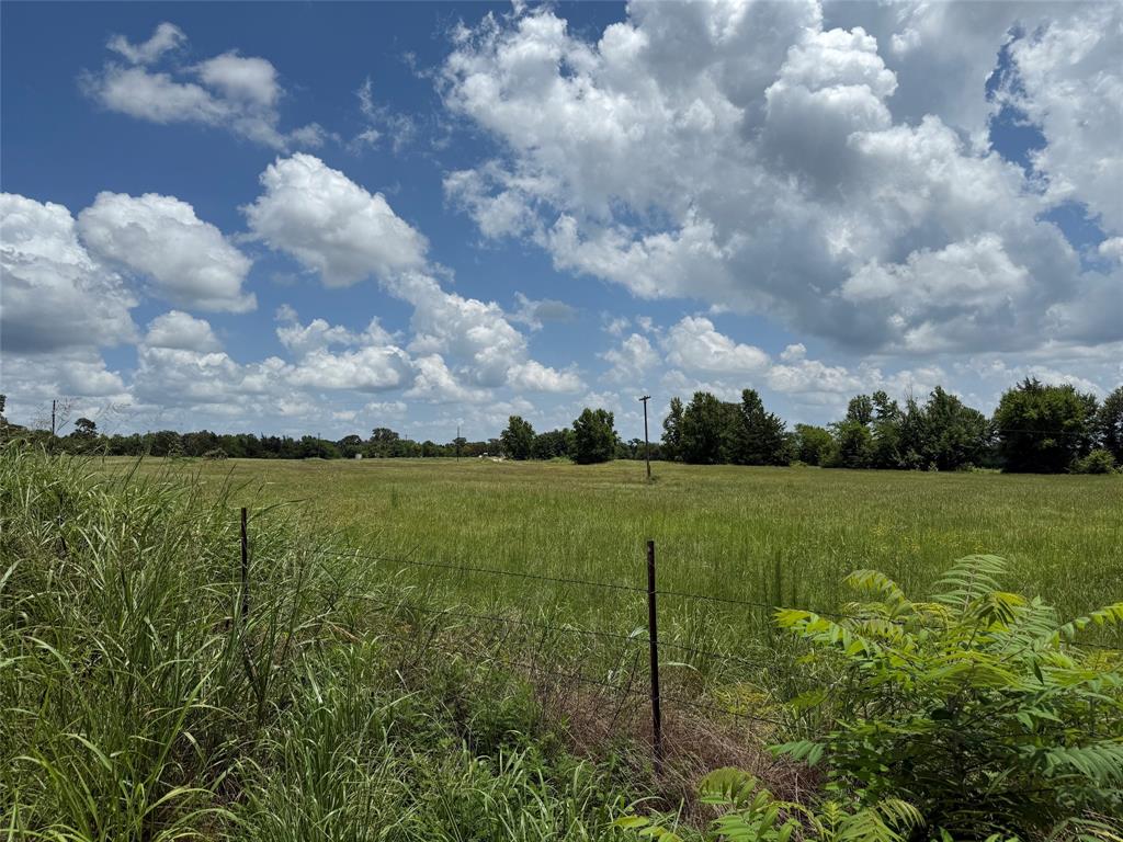 503 County Rd SE 4380 Scroggins, TX 75480 - Photo 34 of 40 a view of a golf course with a garden