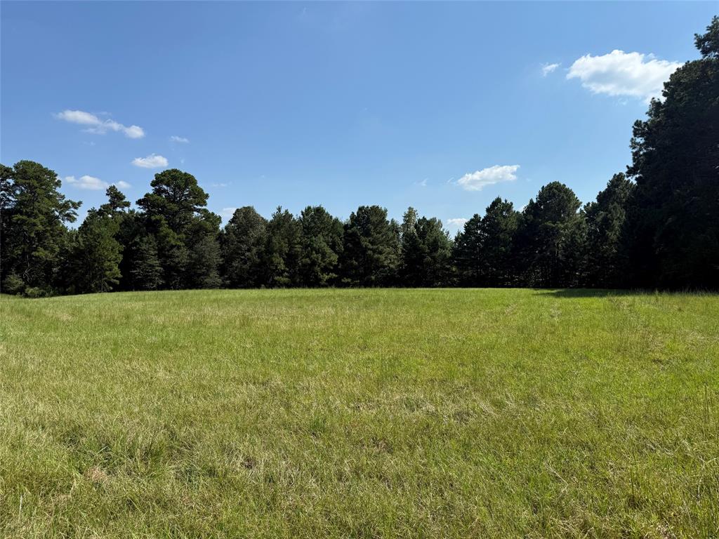 503 County Rd SE 4380 Scroggins, TX 75480 - Photo 35 of 40 a view of a green field with wooden fence