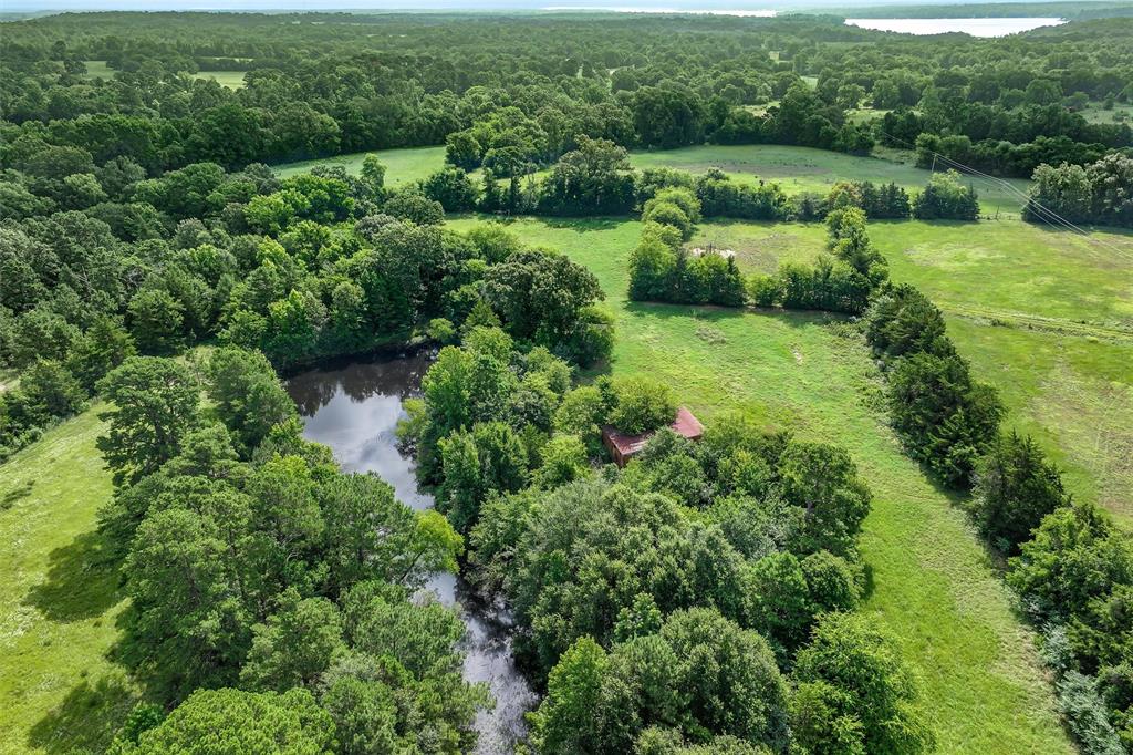 503 County Rd SE 4380 Scroggins, TX 75480 - Photo 6 of 40 an aerial view of green landscape with trees houses and lake view