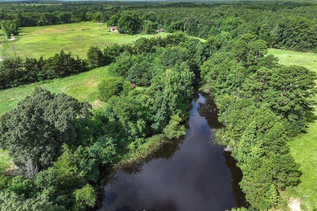 503 County Rd SE 4380 Scroggins, TX 75480 - Photo 7 of 40 a view of a green yard with a small yard