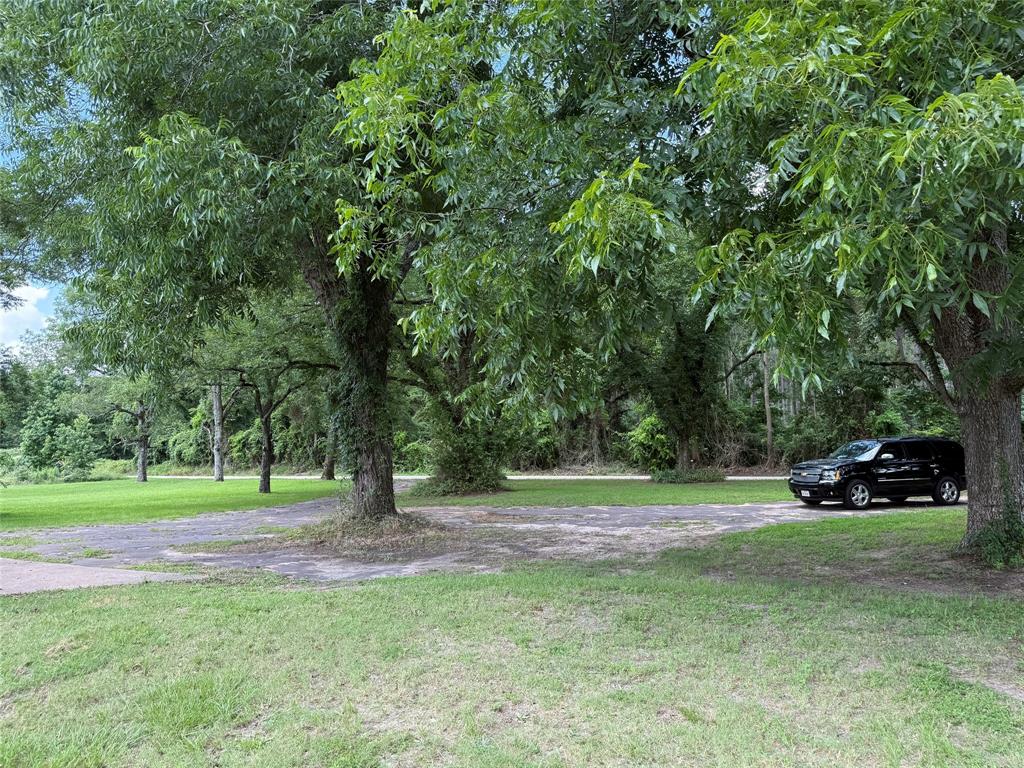 503 County Rd SE 4380 Scroggins, TX 75480 - Photo 9 of 40 a view of park with trees