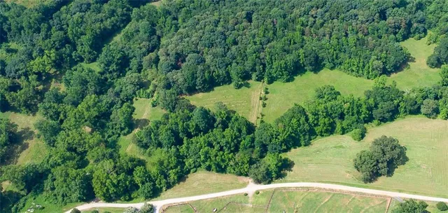 a view of a yard in a yard