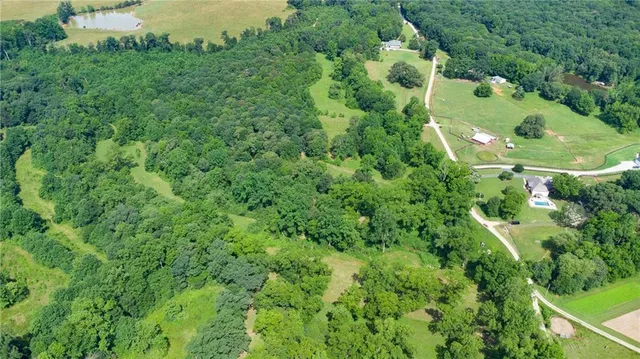 an aerial view of residential house with outdoor space and trees all around