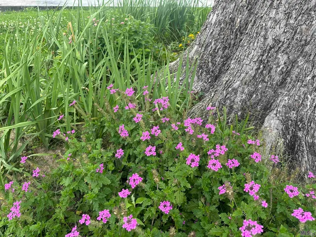 $398,000 | 1011 Highway 1, Donaldsonville, LA 70346