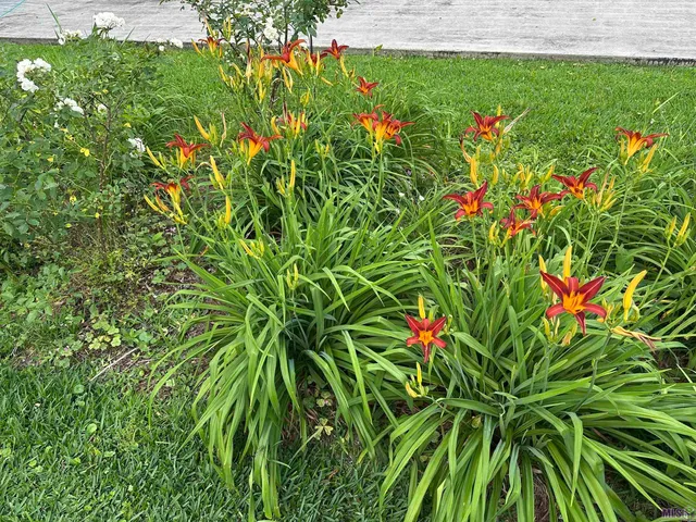 $398,000 | 1011 Highway 1, Donaldsonville, LA 70346