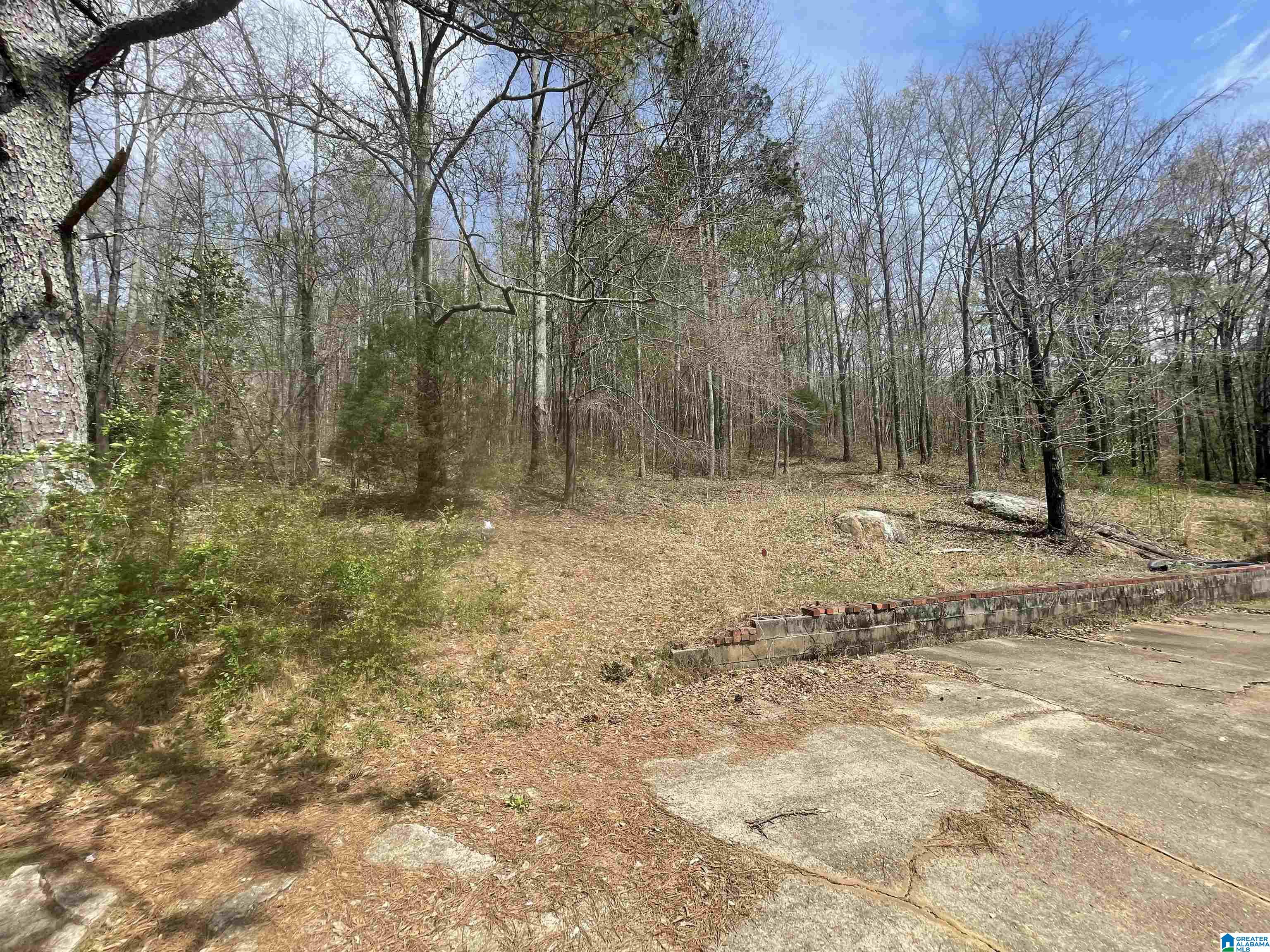 98 Cleburne Street Attalla, AL 35954 - Photo 21 of 22