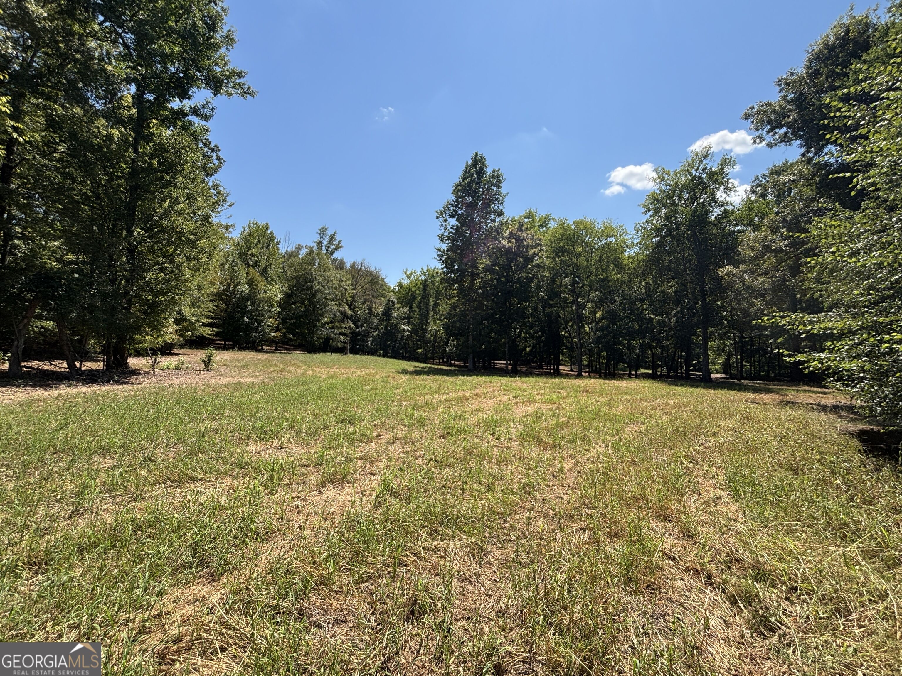 9390 Hopewell Road Lizella, GA 31052 - Photo 22 of 32 Gallery Image 22