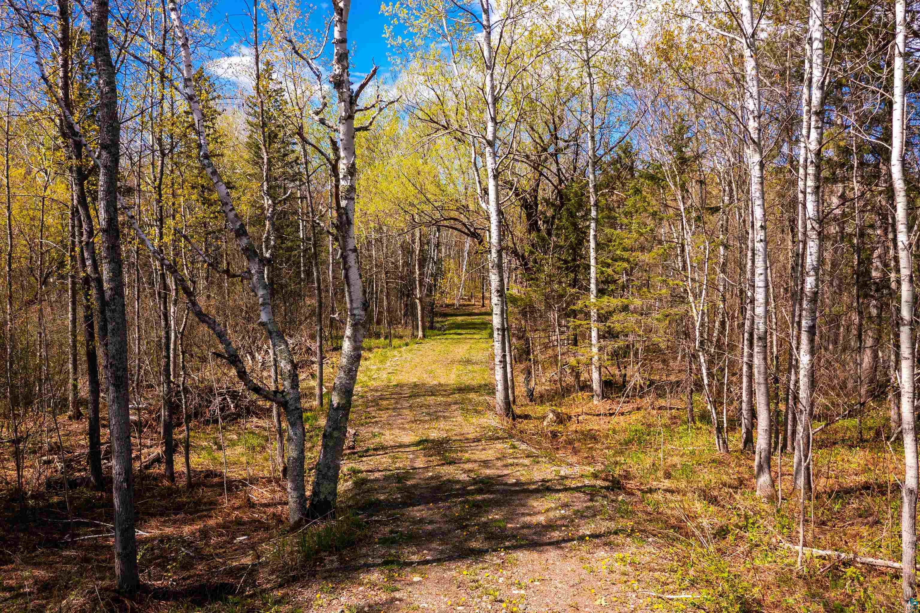 49-xx Morris Thomas Road Hermantown, MN 55811 - Photo 3 of 3