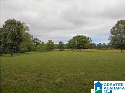 655 Wilson Chapel Road Oneonta, AL 35121 - Photo 8 of 10