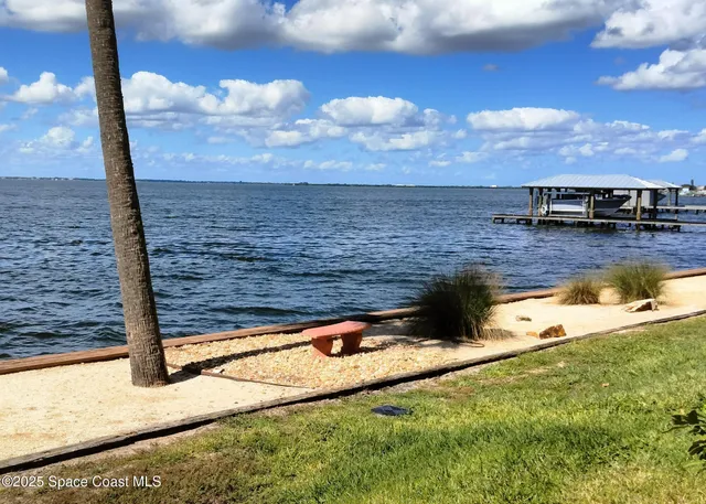a view of a backyard with table and chairs potted plants and palm tree