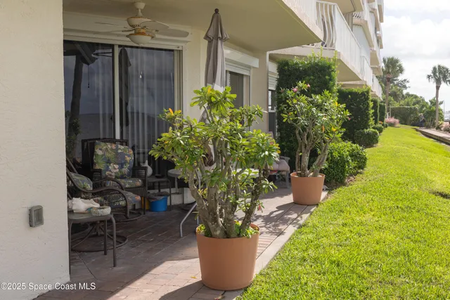 a view of a house with a small yard and plants