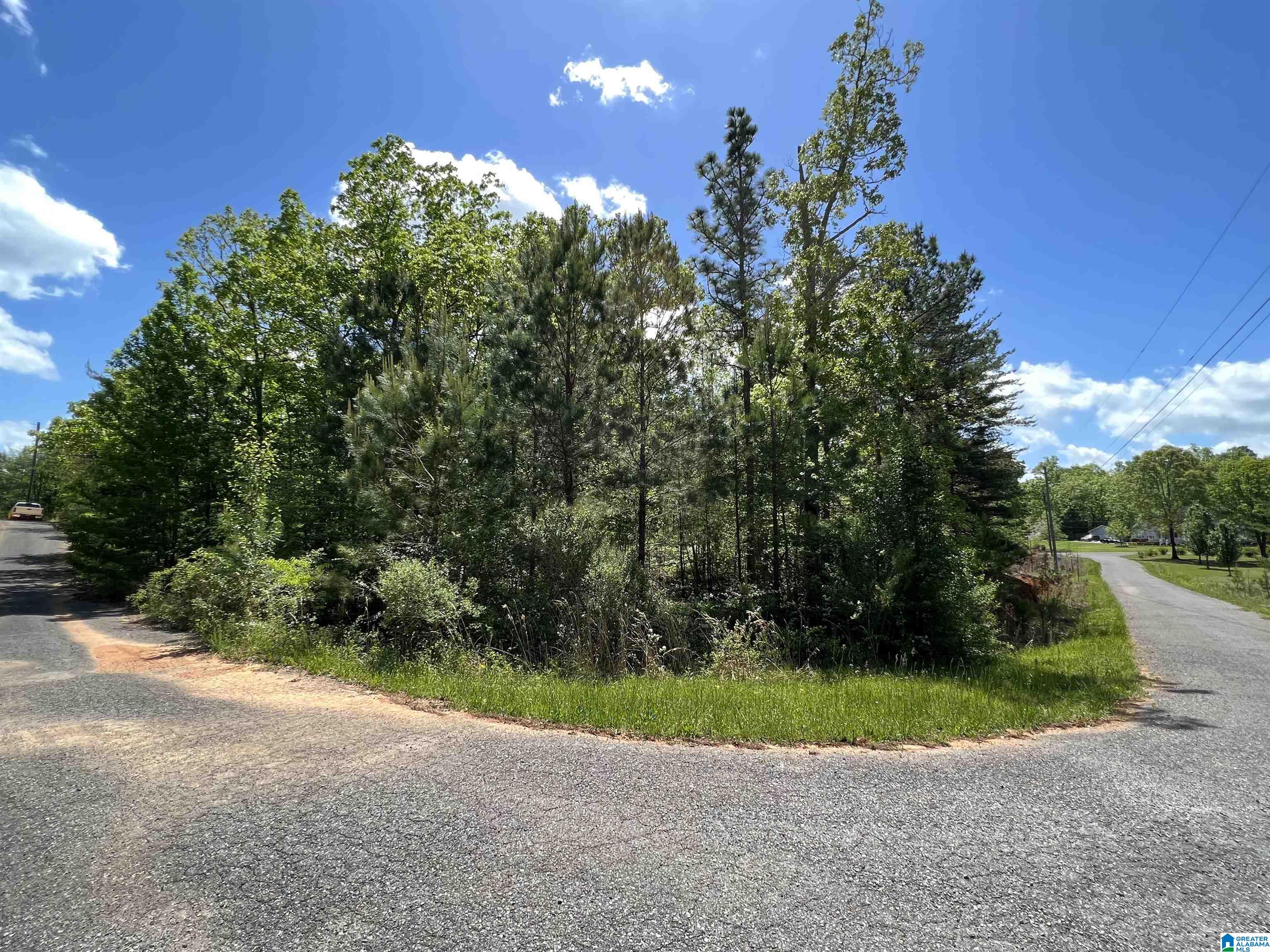 Blue Ridge Drive, Unit 1 Talladega, AL 35160 - Photo 1 of 16