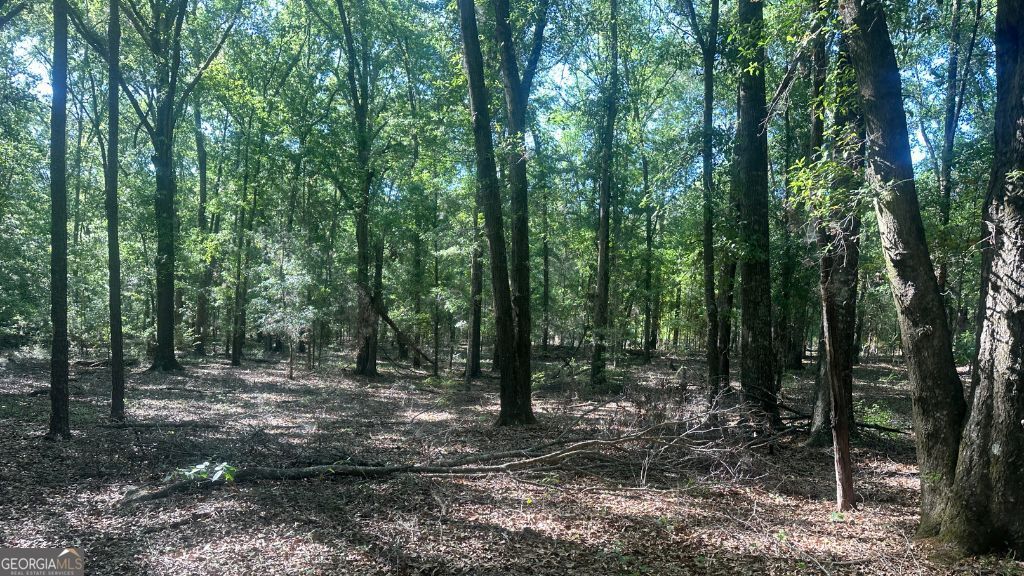 10 Country Club Road, Unit LOT 10 Sylvania, GA 30467 - Photo 31 of 31