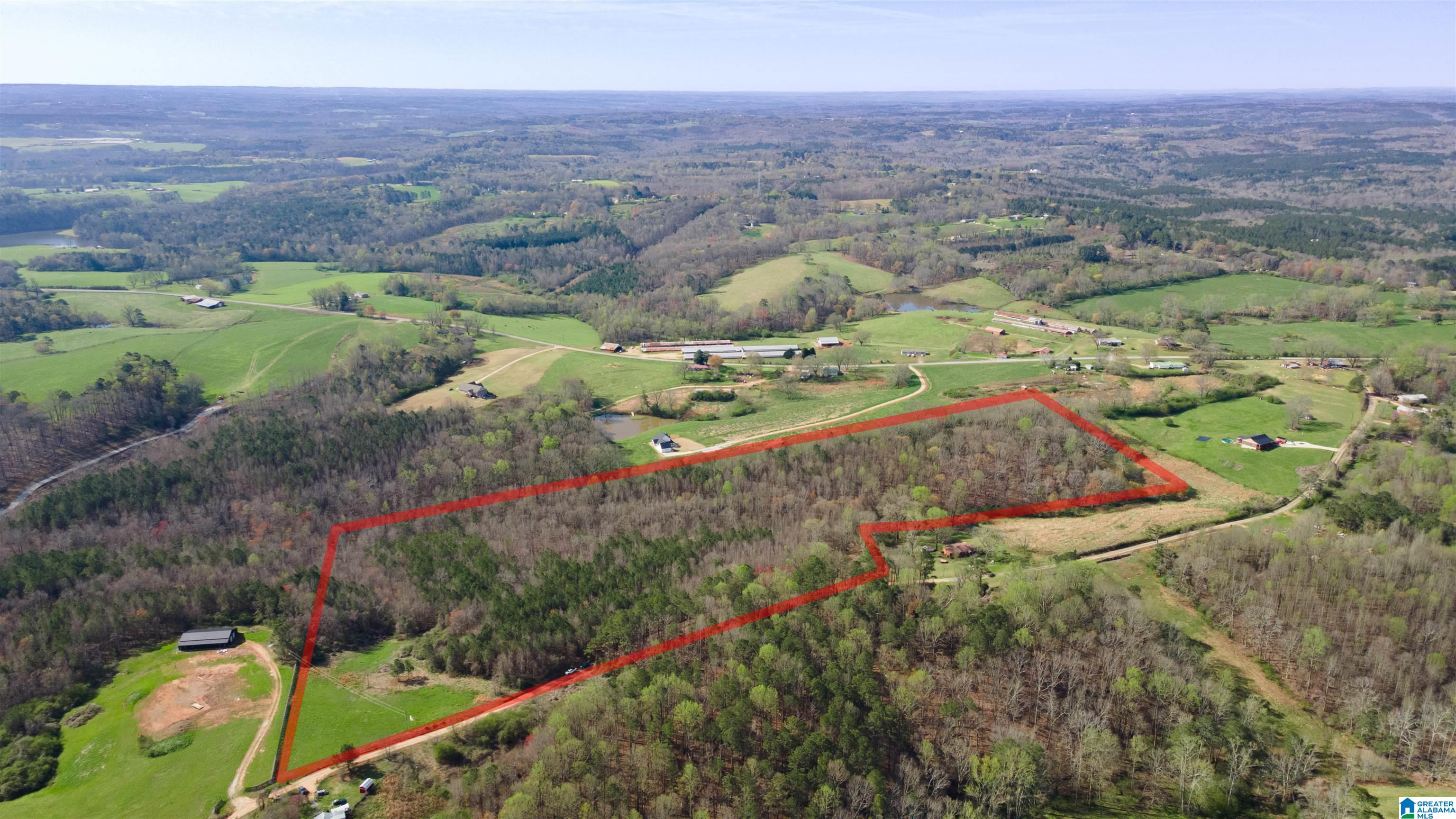 0 County Road 670, Unit 1 Ranburne, AL 36273 - Photo 16 of 18