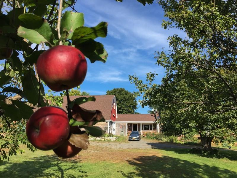 162 Guilford Center Road Guilford, ME 04443 - Photo 27 of 34 Hard cider anyone?