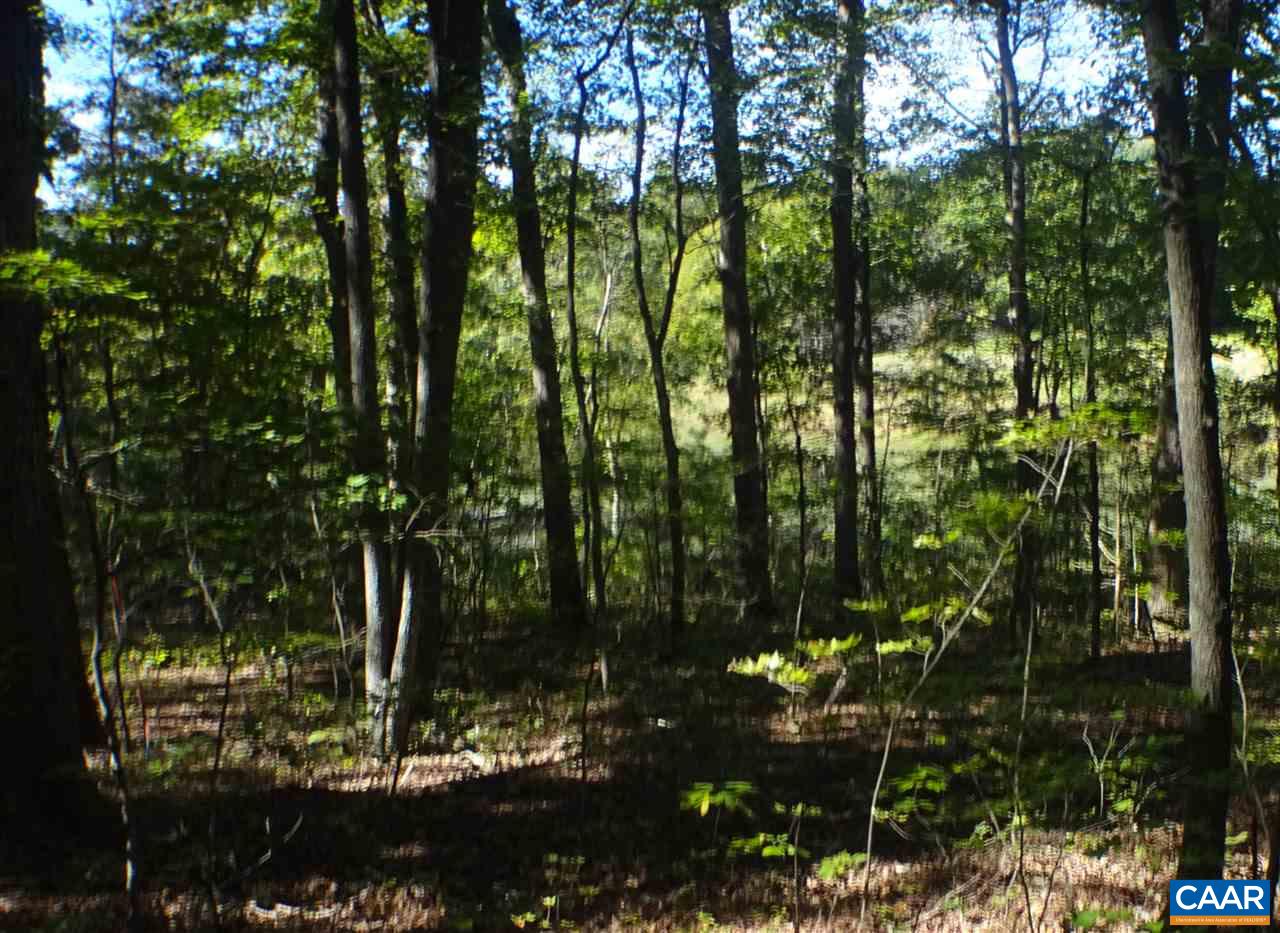 Courthouse Road Palmyra, VA 22963 - Photo 1 of 2
