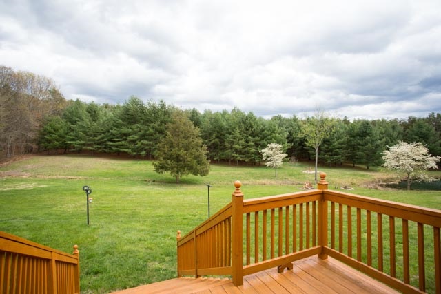 902 Loop Road Elkton, VA 22827 - Photo 33 of 39 Gallery Image 33
