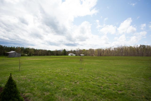902 Loop Road Elkton, VA 22827 - Photo 37 of 39 Gallery Image 37