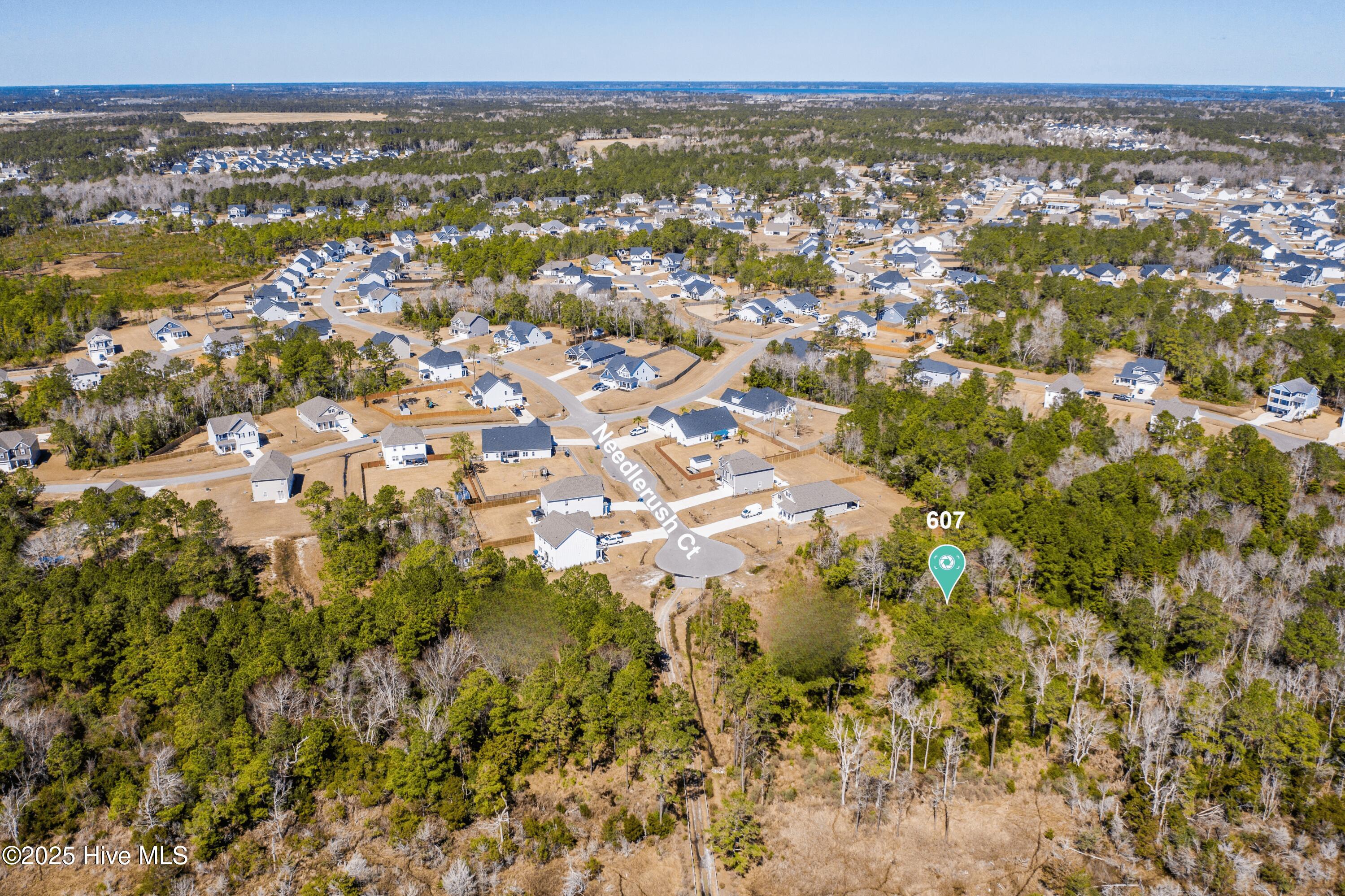 607 Needlerush Road Sneads Ferry, NC 28460 - Photo 5 of 14 17-min