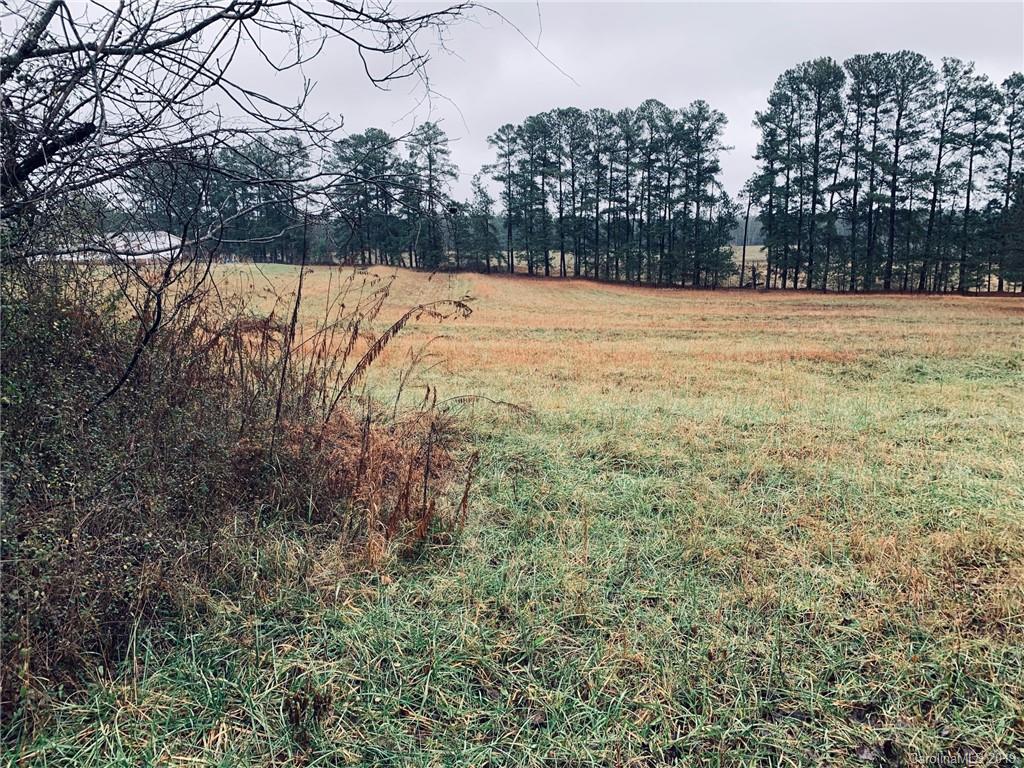 0 Hollis Road, Unit 2 Ellenboro, NC 28040 - Photo 3 of 4 Gallery Image 3
