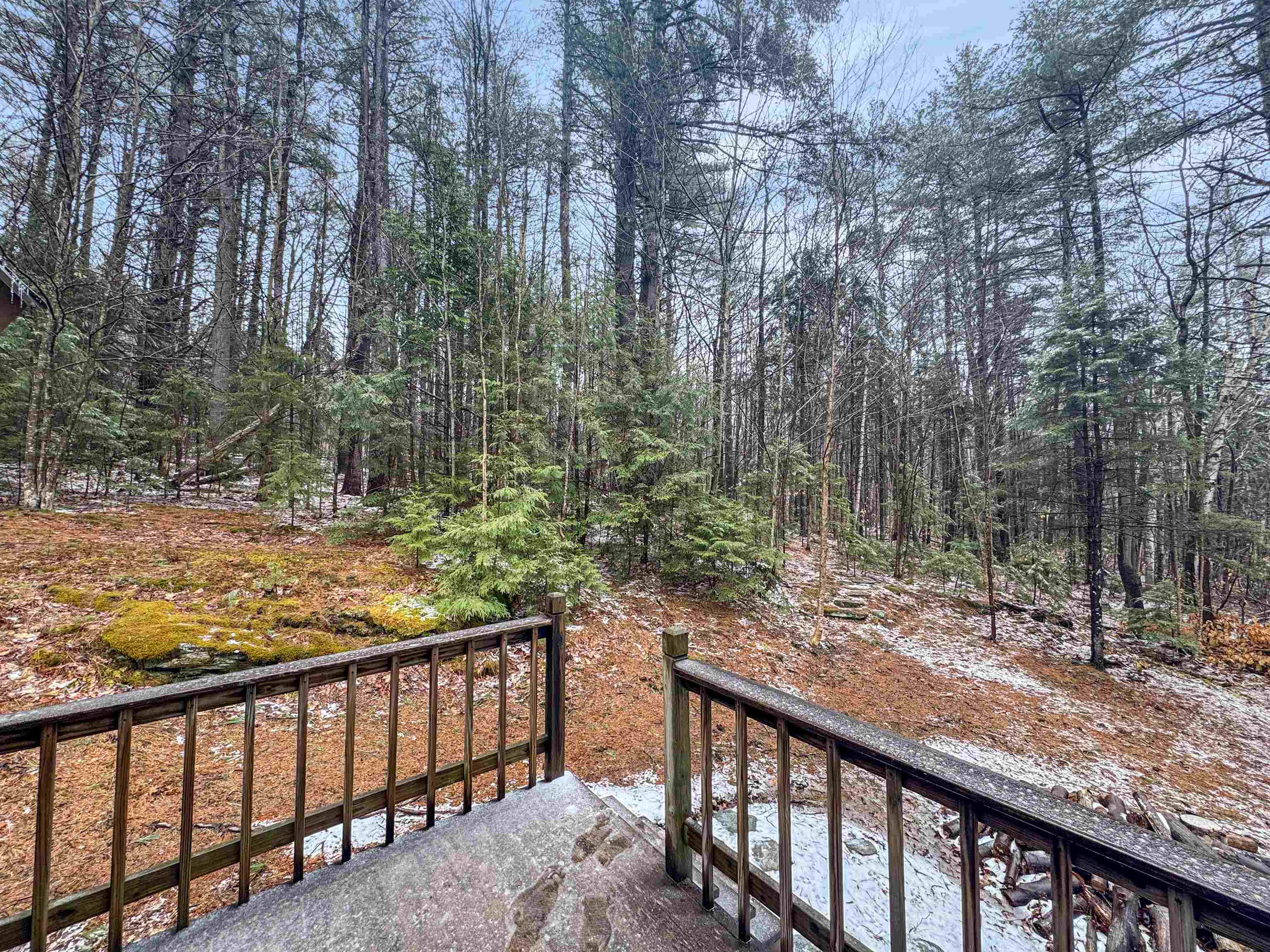 1511 East Dover Road Wardsboro, VT 05355 - Photo 8 of 30