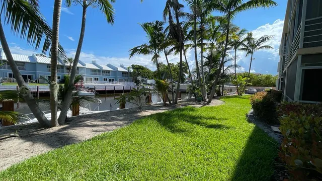 a view of a yard with palm trees