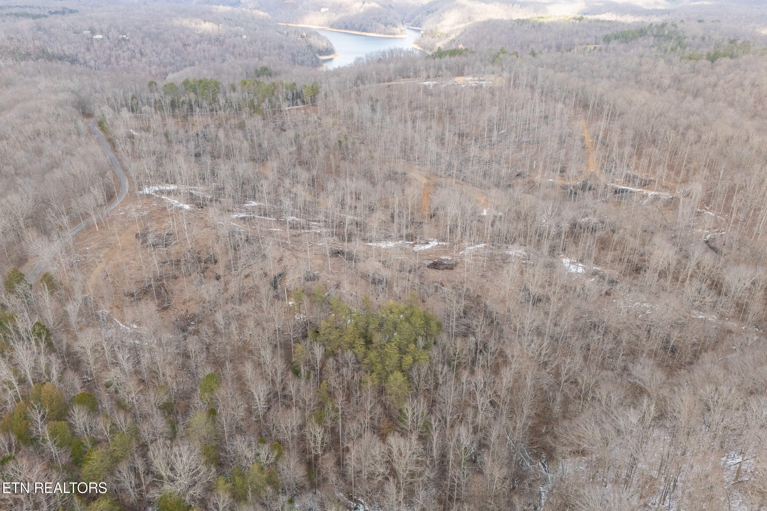 6.24-acres Hutchins Bend Road Sparta, TN 38583 - Photo 11 of 20 mls-3