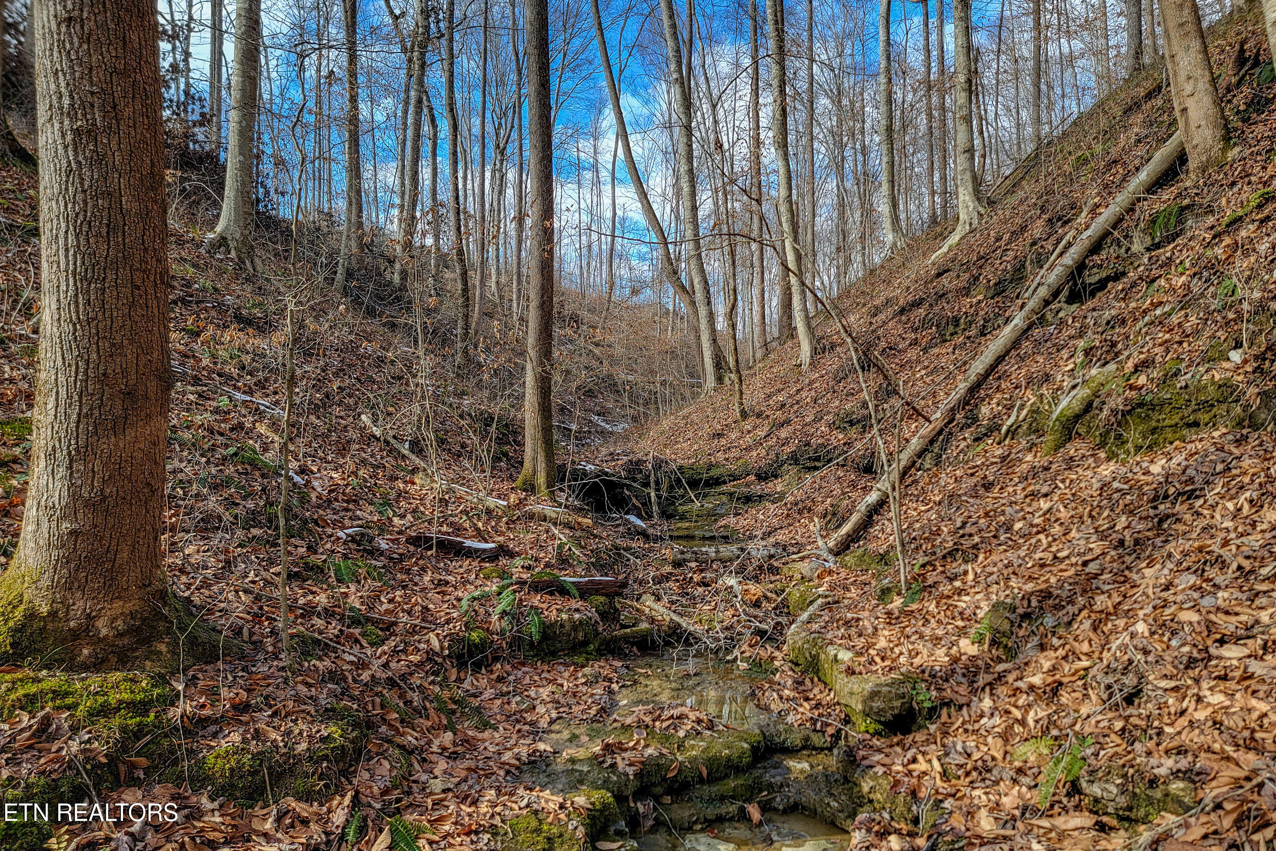 6.24-acres Hutchins Bend Road Sparta, TN 38583 - Photo 2 of 20 1