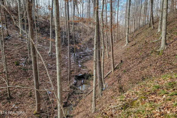 $95,998 | 6.24-acres Hutchins Bend Road, Sparta, TN 38583