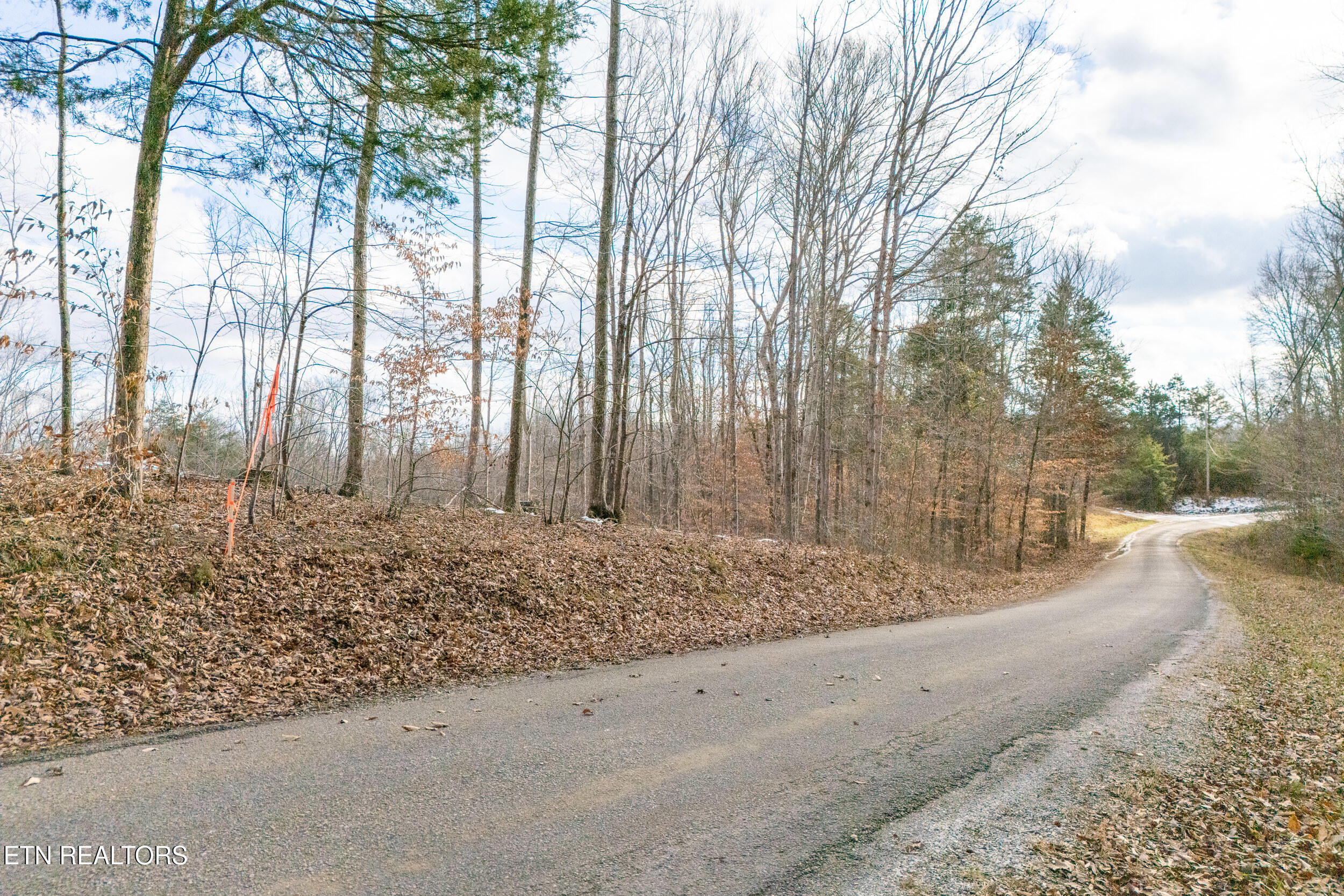 6.24-acres Hutchins Bend Road Sparta, TN 38583 - Photo 4 of 20 mls-21