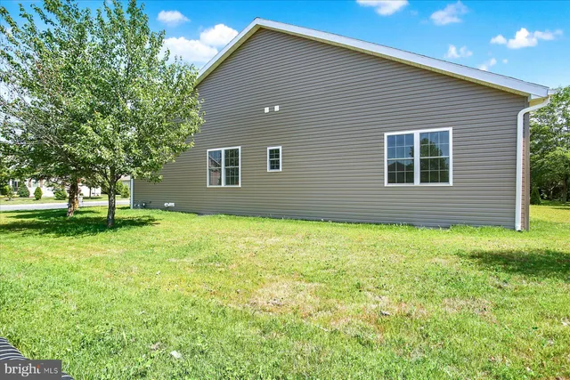 a view of a backyard with plants and large tree